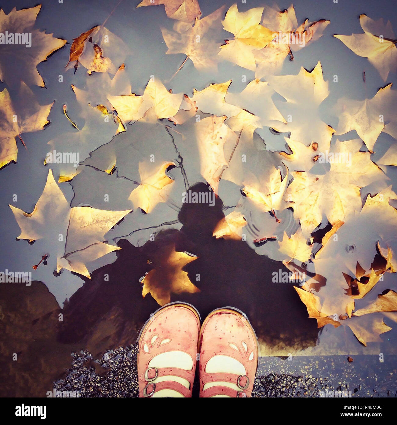 Donna che guarda la sua riflessione in una pozza d'acqua con foglie di autunno Foto Stock