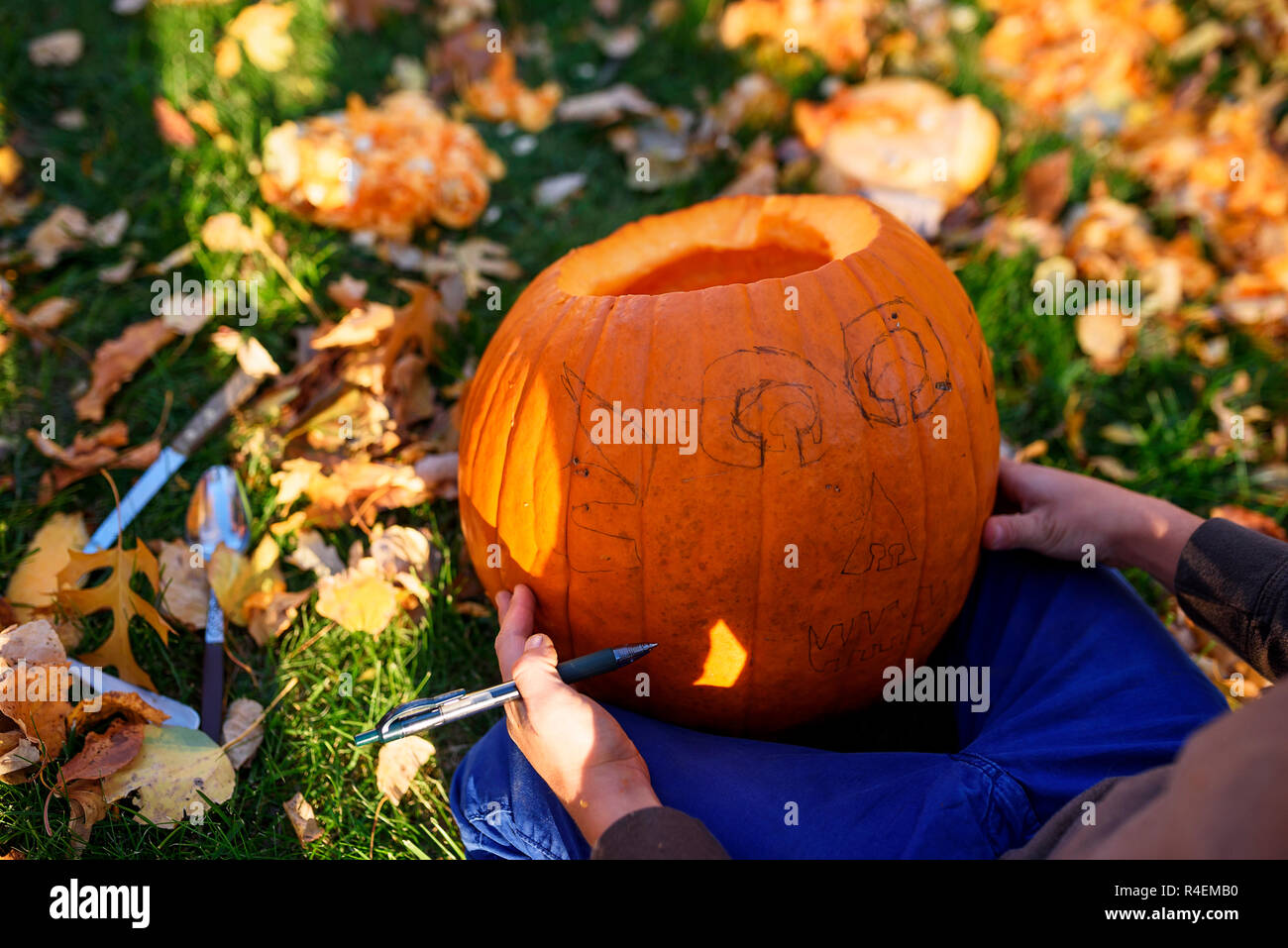 Ragazzo intagliare una zucca di Halloween nel giardino, Stati Uniti Foto Stock