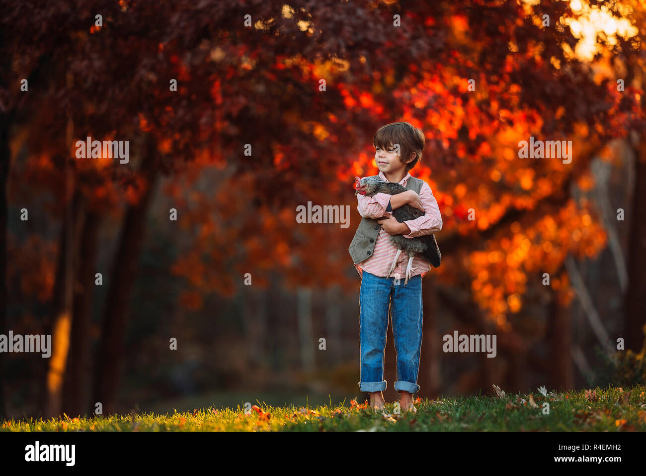 Ragazzo accanto all'aperto cuddling un pollo, Stati Uniti Foto Stock