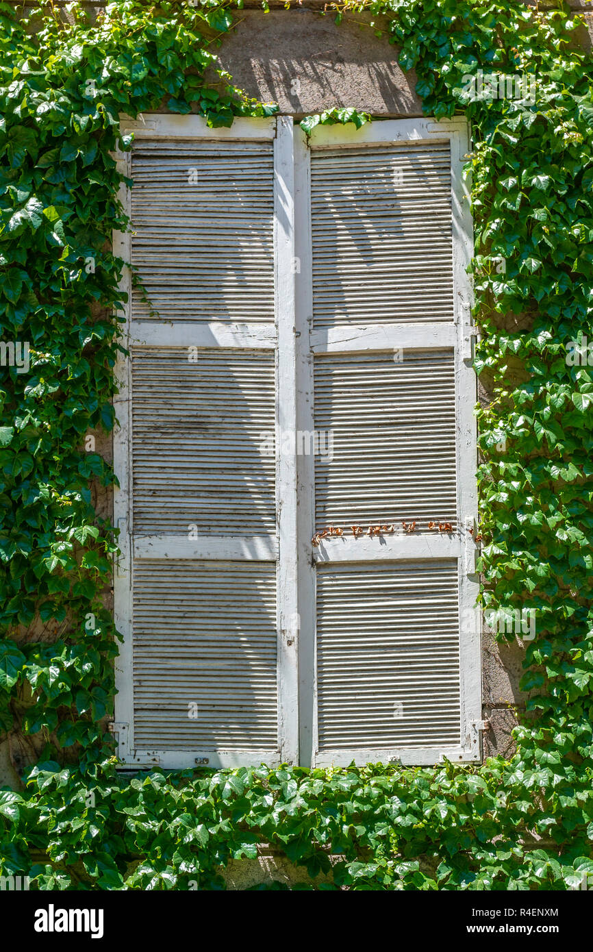 Bianco finestra in legno circondato da una grande vegetazione fatta da foglie, un incredibile modello urbano per le strade di Santiago de Chile Foto Stock