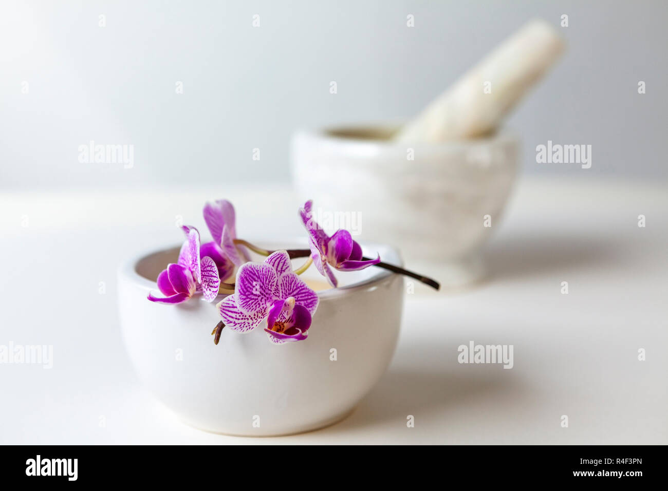 Viola Fiori di orchidea, mortaio e pestello - clinica di bellezza concetto Foto Stock