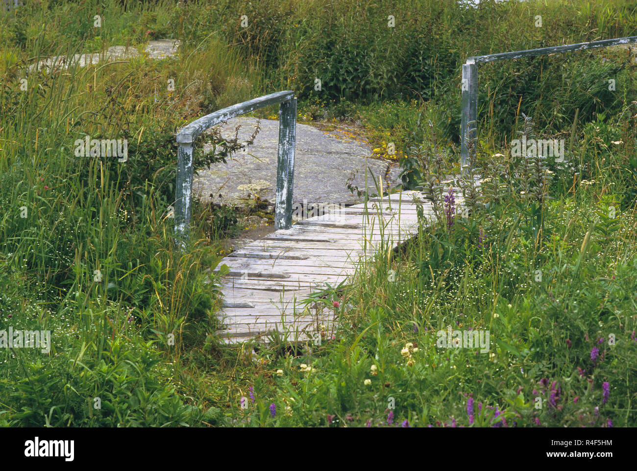 Passerella per nulla. Isola di Monhegan, Maine, Stati Uniti d'America Foto Stock