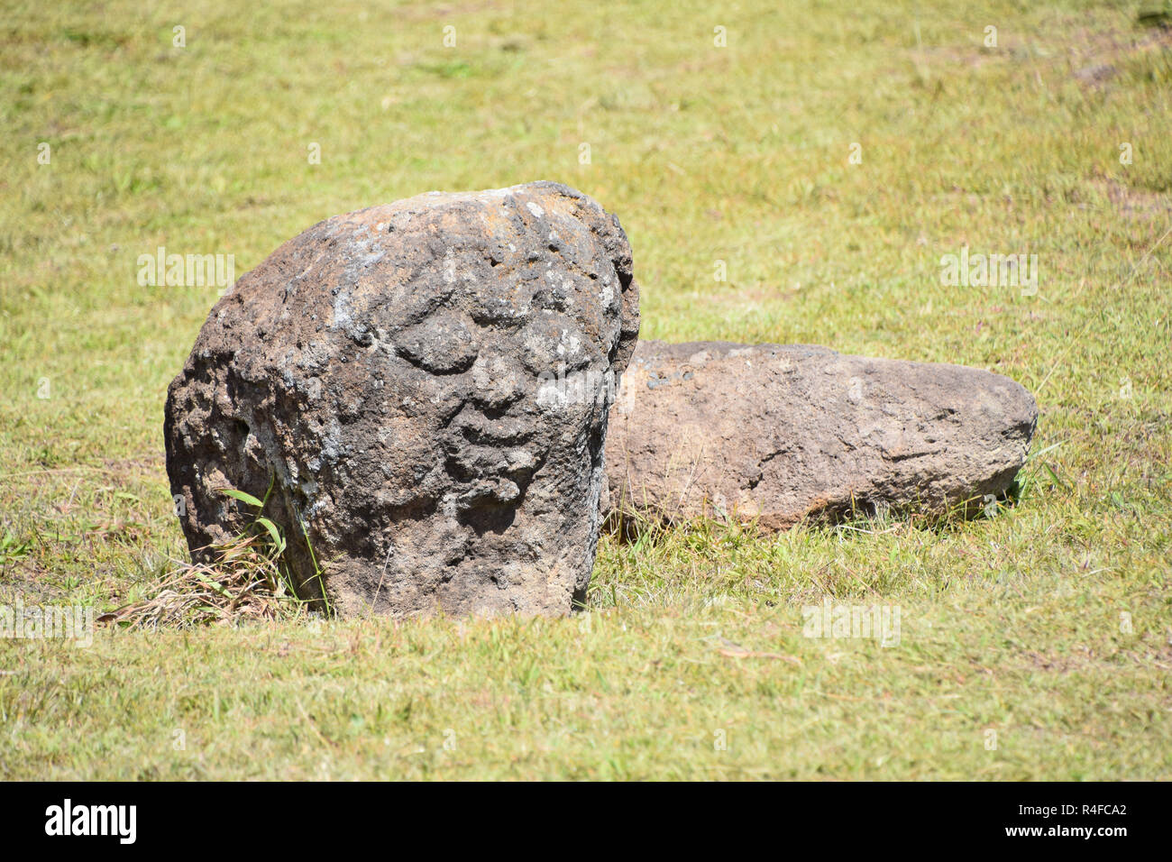 Volto vicino petroglyph Orongo, Isola di Pasqua Foto Stock