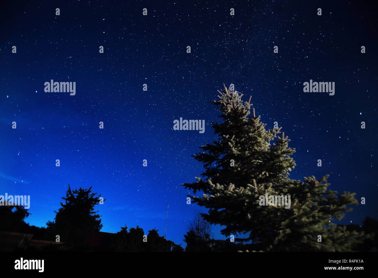 Vista cielo notturno dall'Europa orientale Foto Stock