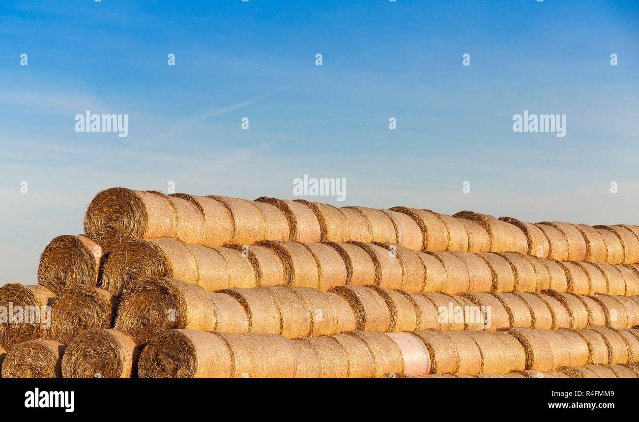 Pila di paglia nel campo Foto Stock