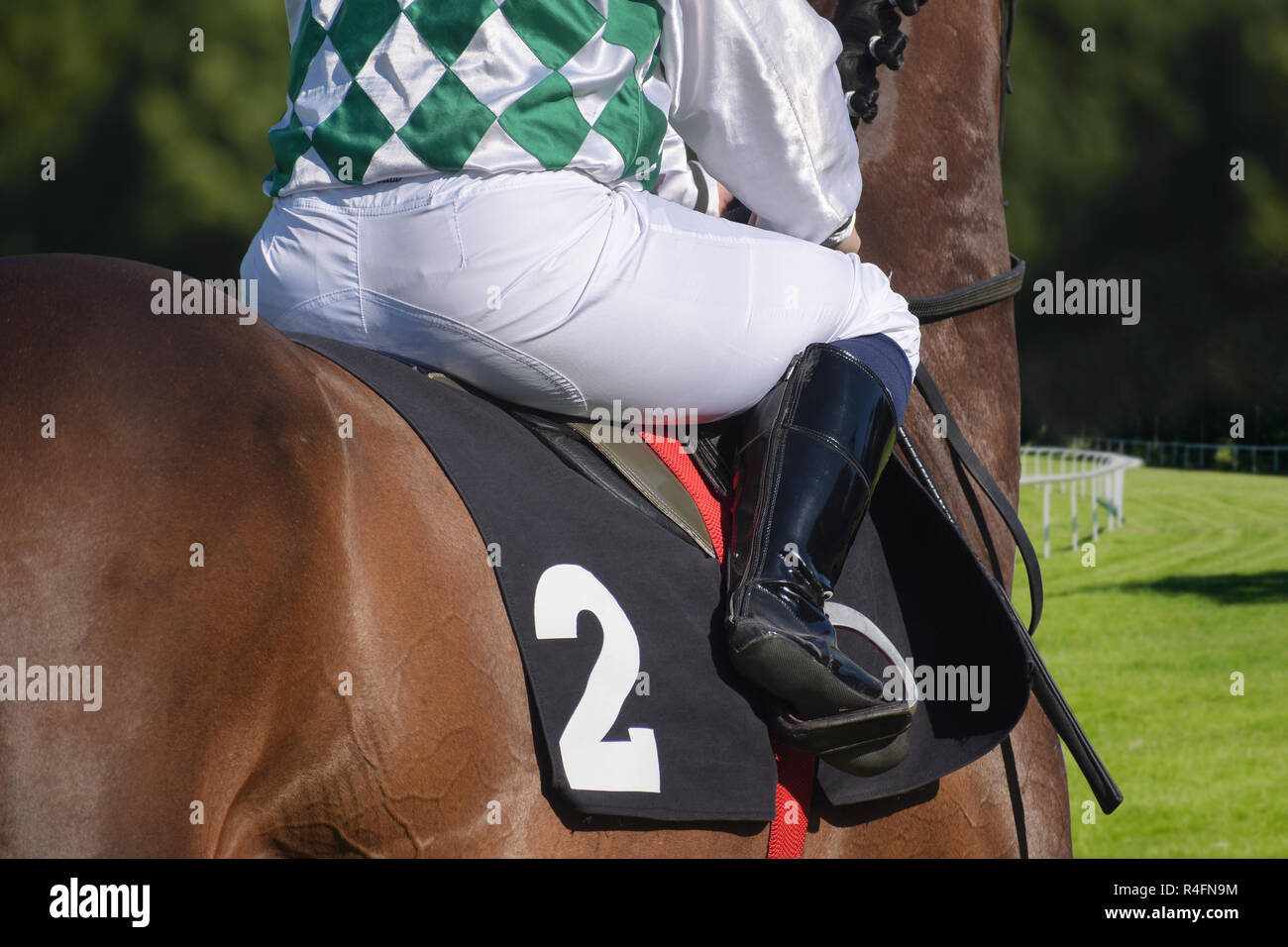 Jockey su un cavallo marrone da dietro al galoppo in gara su una pista in erba, messa a fuoco selezionata Foto Stock