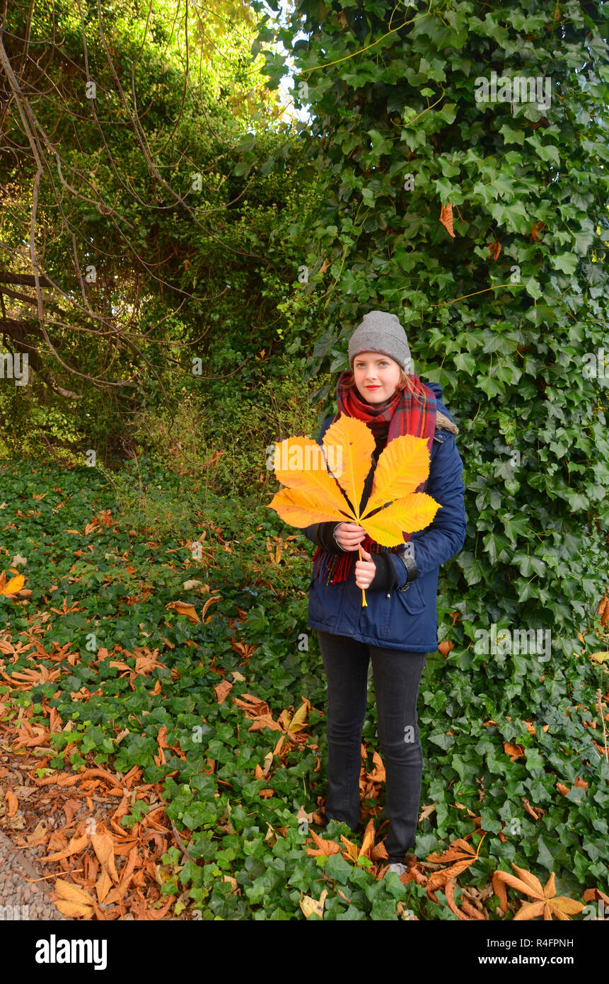 Giovane donna tiene un grande giallo ippocastano Foglie di autunno. Foto Stock