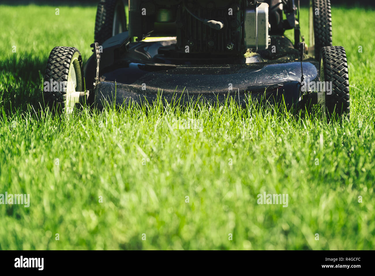 Tosaerba su erba verde Foto Stock