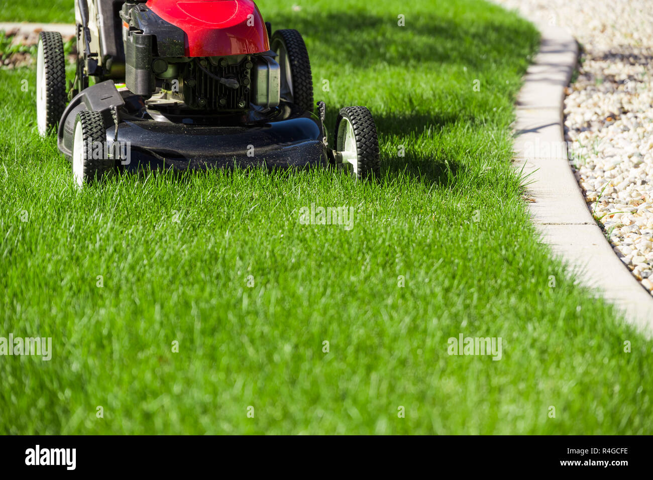 Tosaerba su erba verde Foto Stock