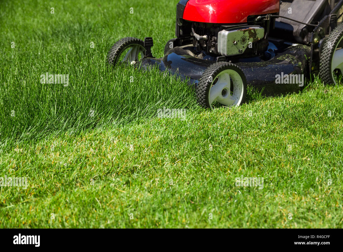 Tosaerba su erba verde Foto Stock