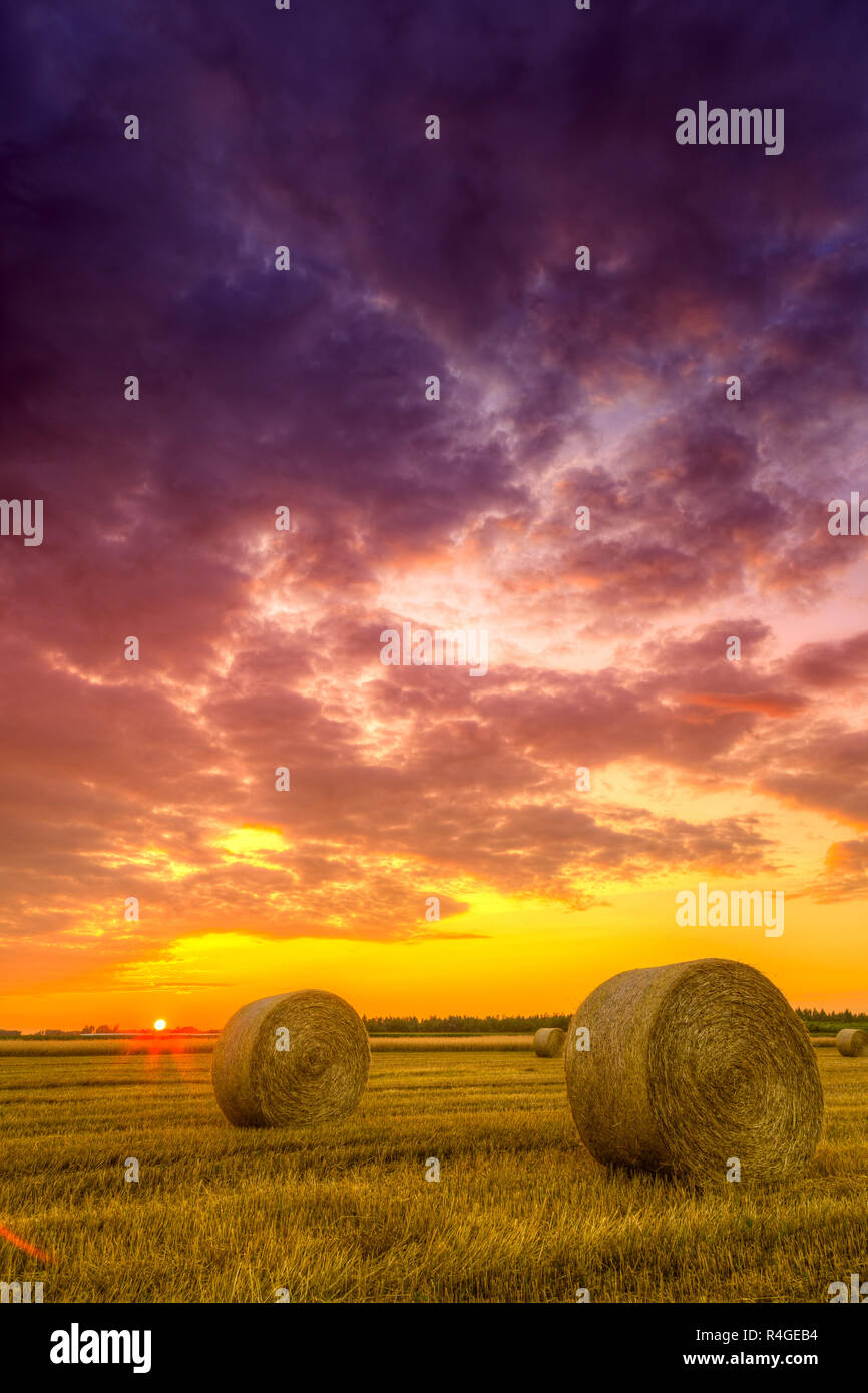 Tramonto sul campo di fattoria con balle di fieno Foto Stock