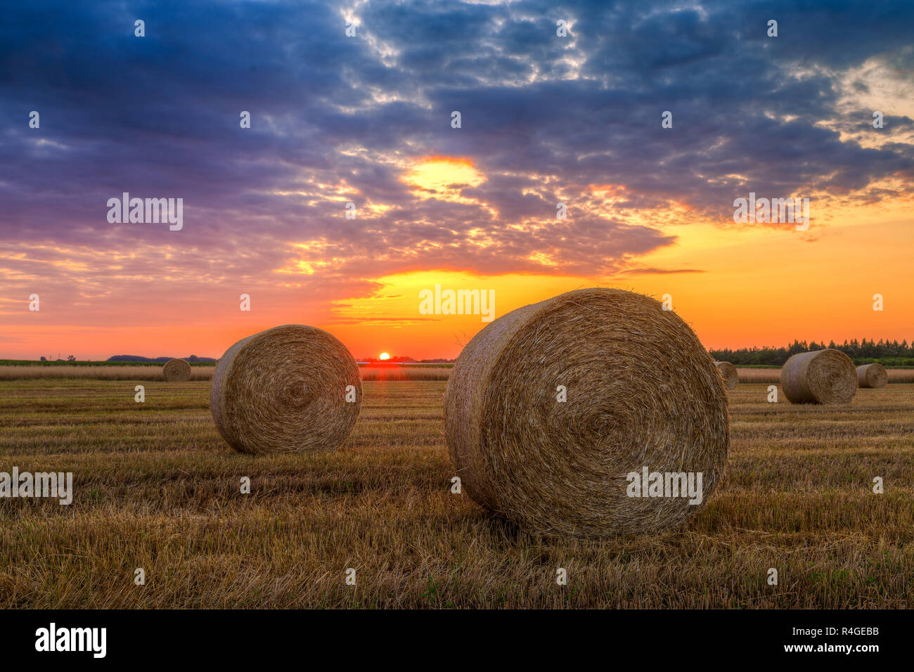 Tramonto sul campo di fattoria con balle di fieno Foto Stock