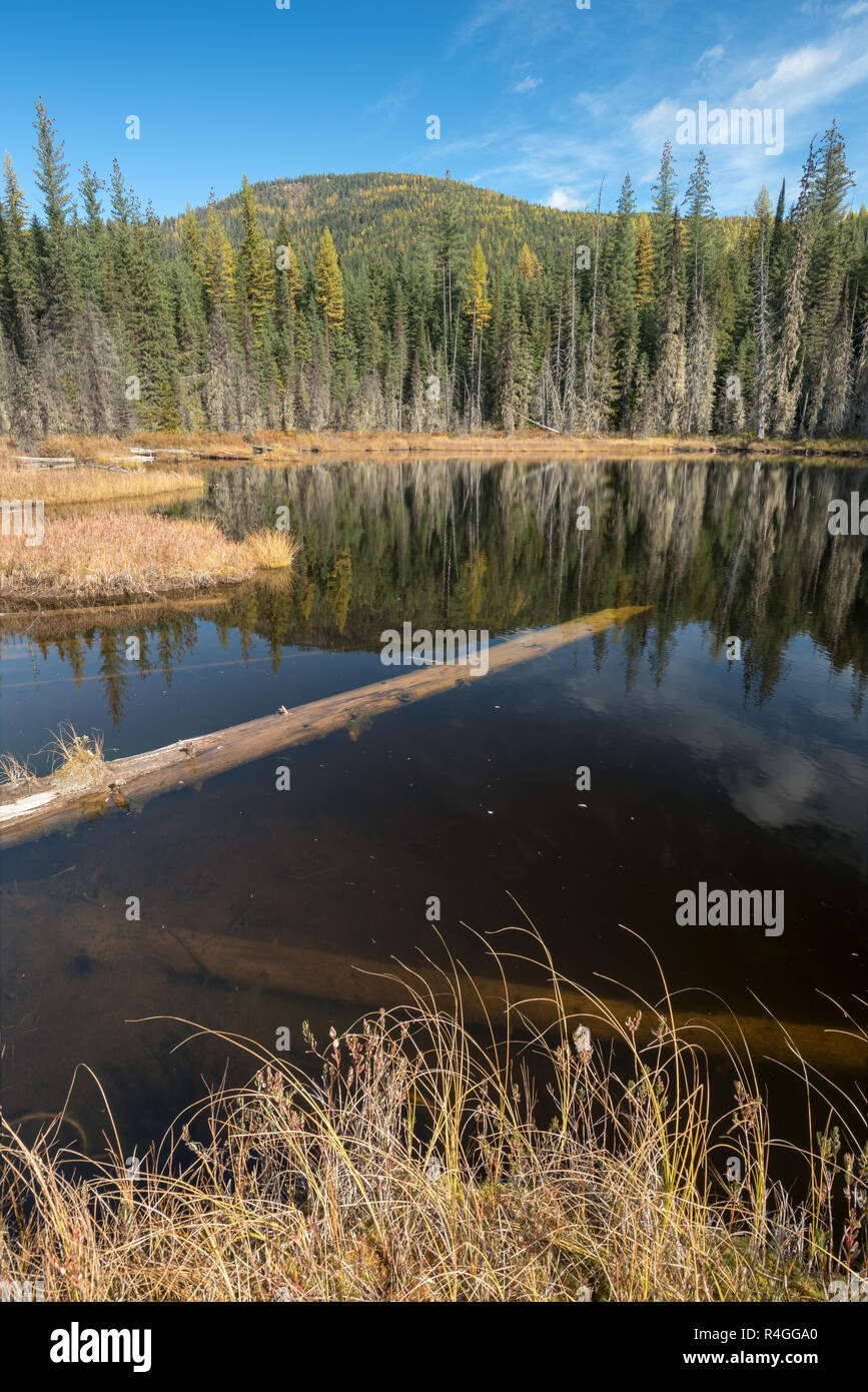 Huff lago, una torbiera del Lago Kaniksu nella Foresta Nazionale, Washington. Foto Stock