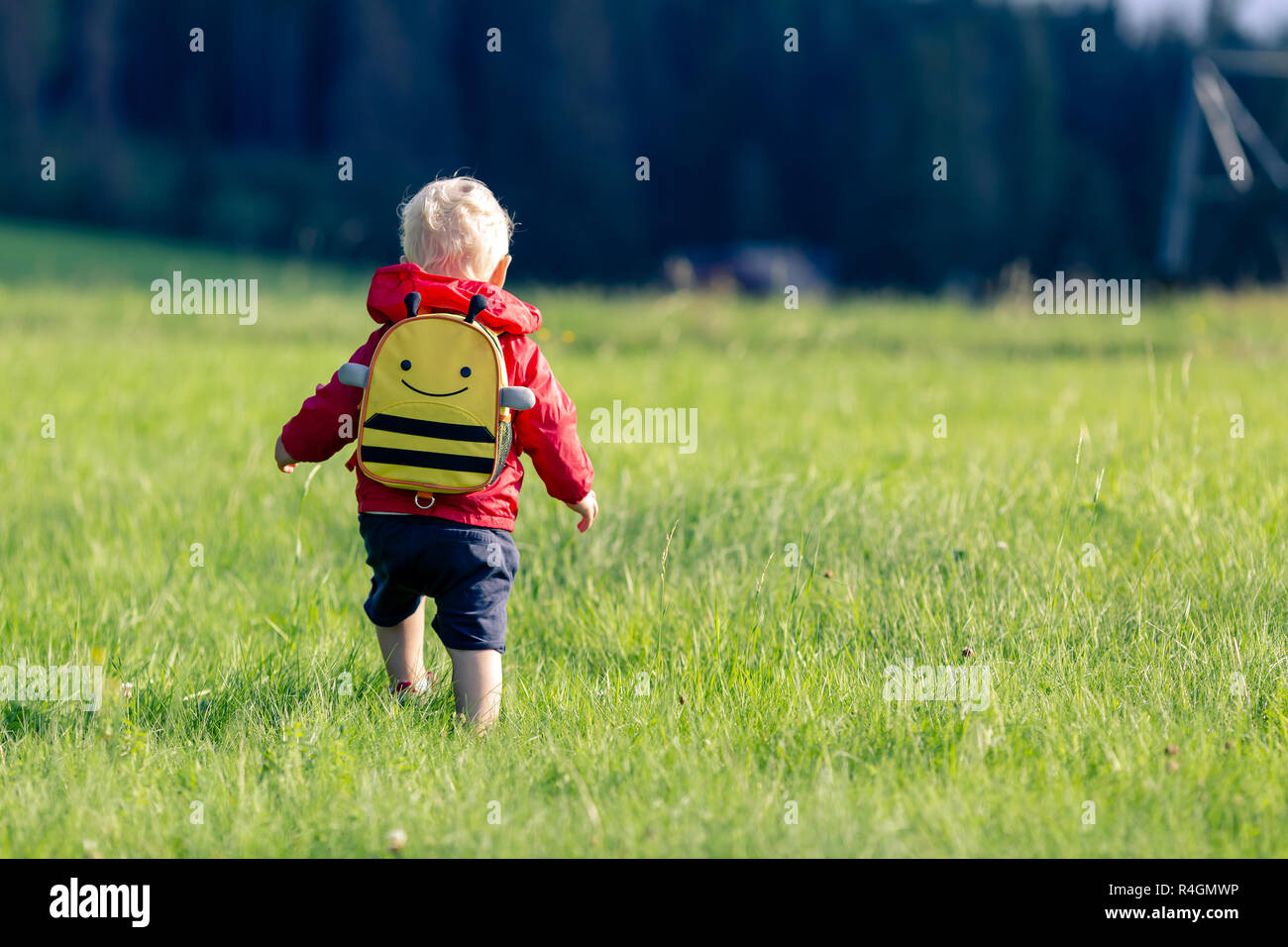 Baby boy escursionismo con zaino sul prato verde. Un giovane bambino su vacanze escursione. Di ispirazione viaggi e turismo concept. Foto Stock
