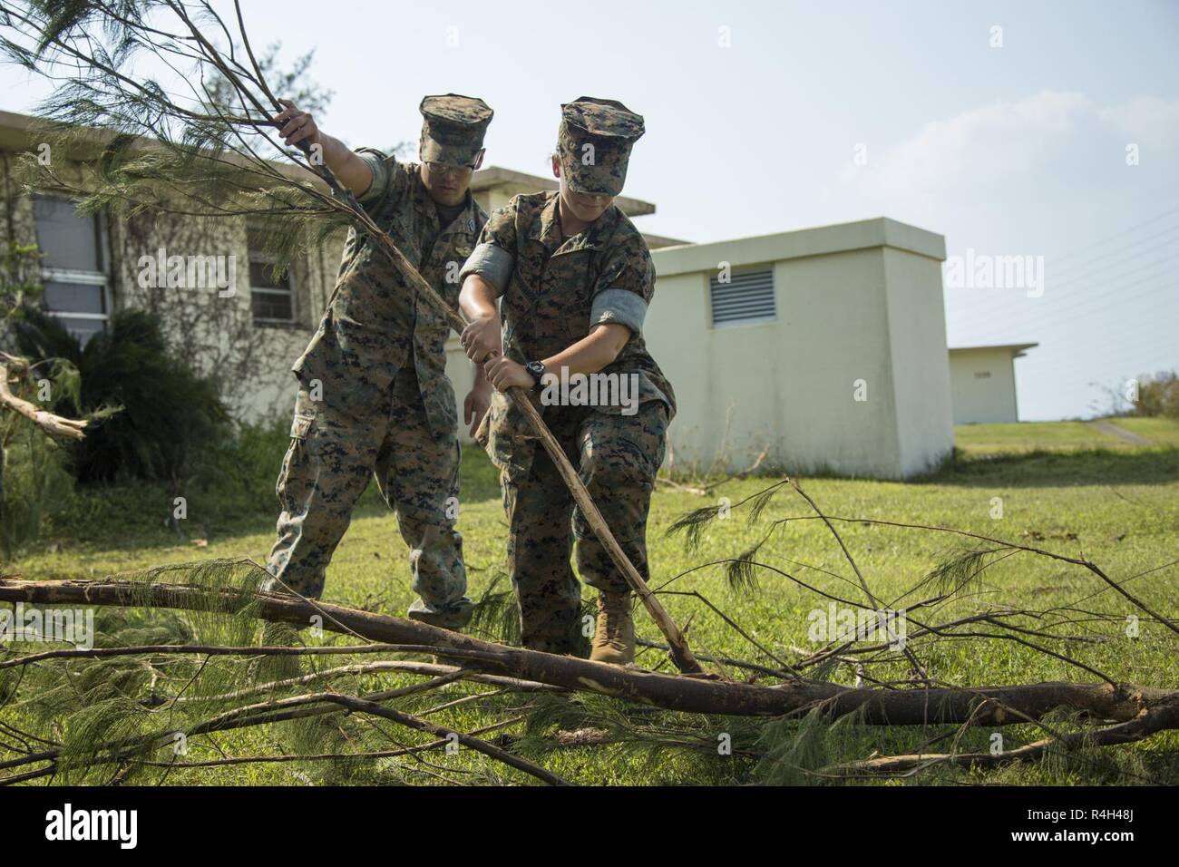Stati Uniti Marine Corps Cpl. Elana Merrimarahajara, destra, un geometra con sede e supporto battaglione, Marine Corps Impianti Pacific-Marine Corps Base Camp Butler, Giappone e Stati Uniti Navy Seaman apprendista Paolo Aberion, un ospedale corpsman con 3° Battaglione dentale smantella un albero caduto il ramo al 1 ottobre 2018, nel corso di una pulizia di base lungo il perimetro di Camp Foster, Okinawa, in Giappone. La pulitura è stata condotta dopo il tifone Trami colpito l'isola. Marines e marinai hanno lavorato insieme per rimuovere i rami degli alberi e i detriti dal intorno alla base. Foto Stock