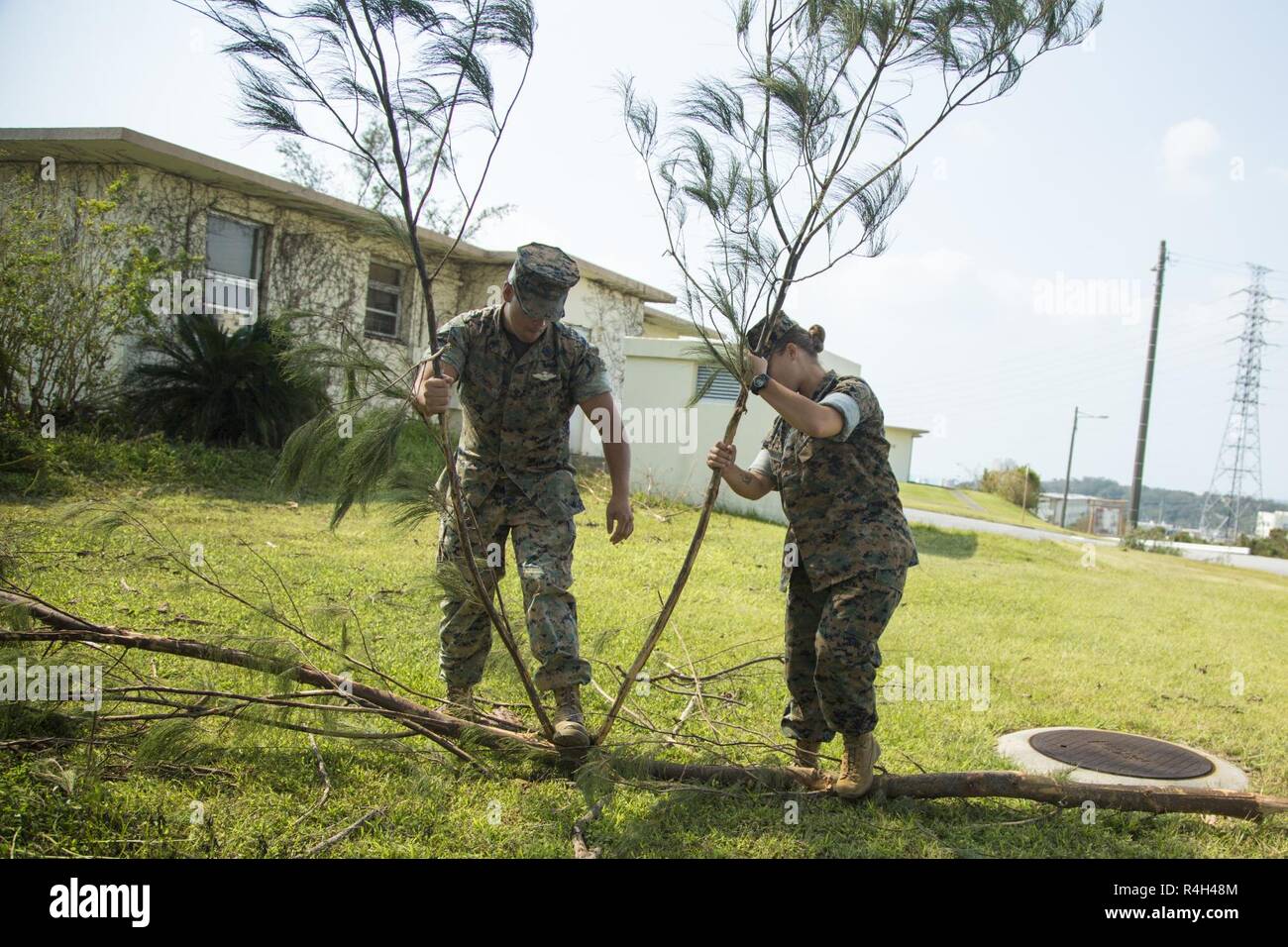 Stati Uniti Marine Corps Cpl. Elana Merrimarahajara, destra, un geometra con sede e supporto battaglione, Marine Corps Impianti Pacific-Marine Corps Base Camp Butler, Giappone e Stati Uniti Navy Seaman apprendista Paolo Aberion, un ospedale corpsman con 3° Battaglione dentale smantella un albero caduto il ramo al 1 ottobre 2018, nel corso di una pulizia di base lungo il perimetro di Camp Foster, Okinawa, in Giappone. La pulitura è stata condotta dopo il tifone Trami colpito l'isola. Marines e marinai hanno lavorato insieme per rimuovere i rami degli alberi e i detriti dal intorno alla base. Foto Stock