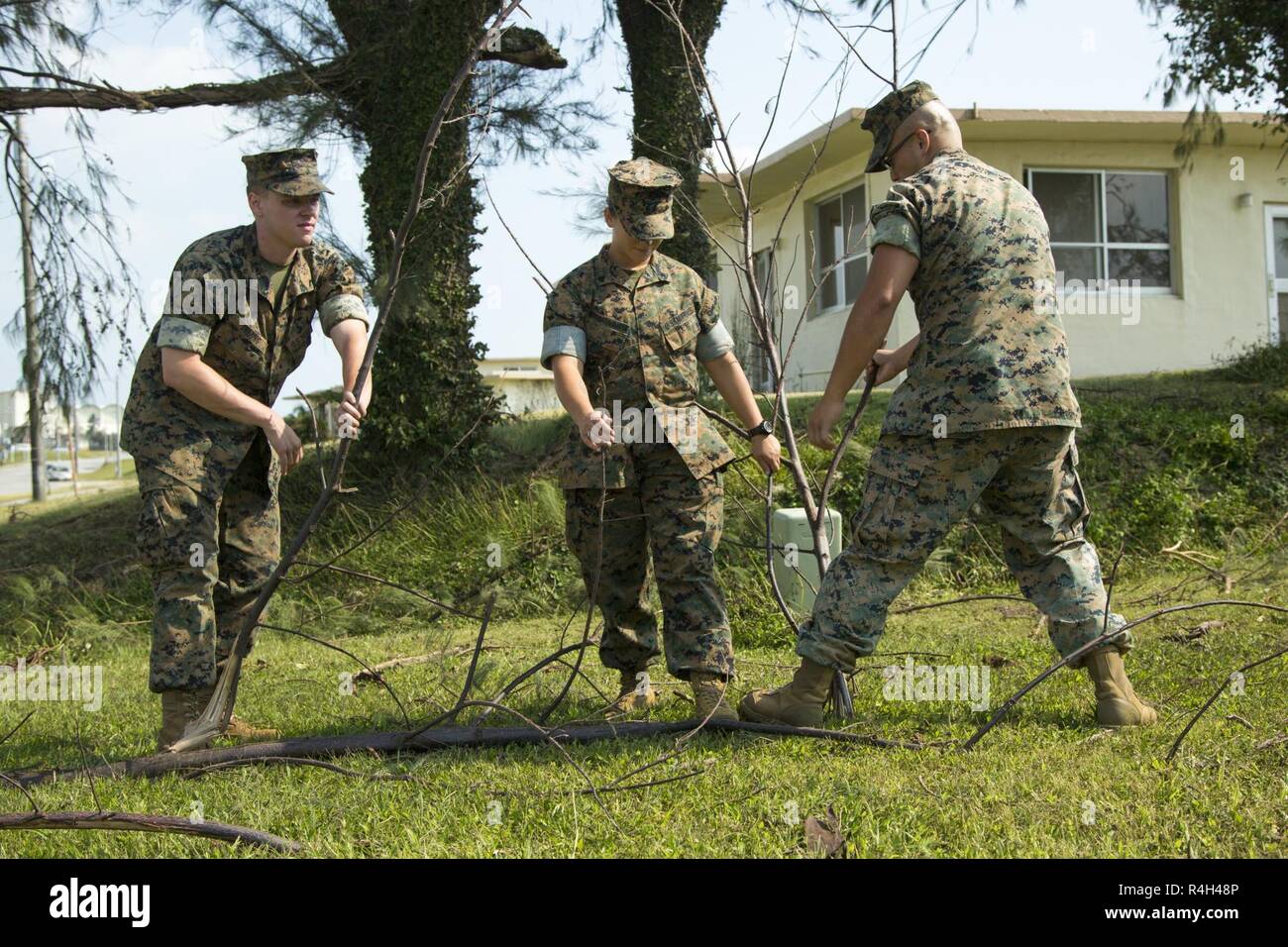 I membri del servizio di smantellare un albero caduto il ramo al 1 ottobre 2018, nel corso di una pulizia di base lungo il perimetro di Camp Foster, Okinawa, in Giappone. La pulitura è stata condotta dopo il tifone Trami colpito l'isola. Marines e marinai hanno lavorato insieme per rimuovere i rami degli alberi e i detriti dal intorno alla base. Foto Stock