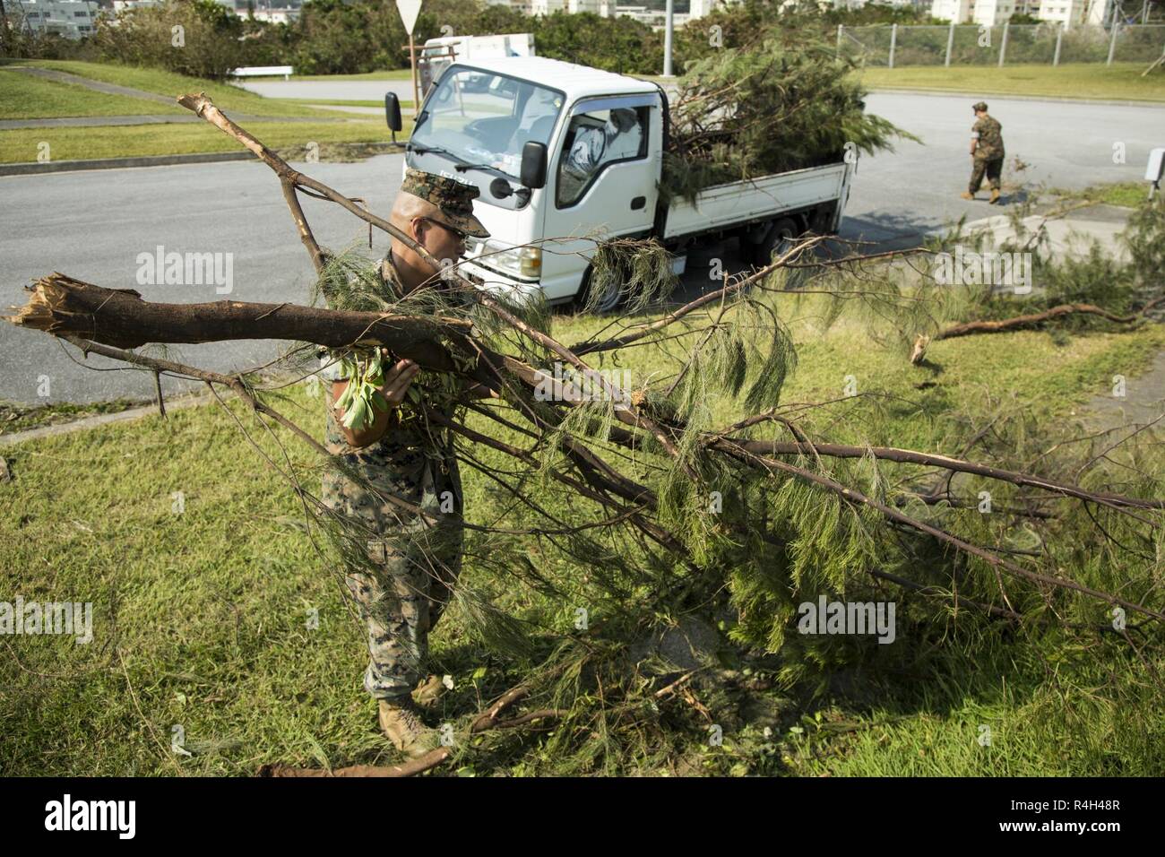 Stati Uniti Navy Seaman apprendista Paolo Aberion, un ospedale corpsman con 3° Battaglione dentale, porta un albero caduto il ramo al 1 ottobre 2018, nel corso di una pulizia di base lungo il perimetro di Camp Foster, Okinawa, in Giappone. La pulitura è stata condotta dopo il tifone Trami colpito l'isola. Marines e marinai hanno lavorato insieme per rimuovere i rami degli alberi e i detriti dal intorno alla base. Foto Stock