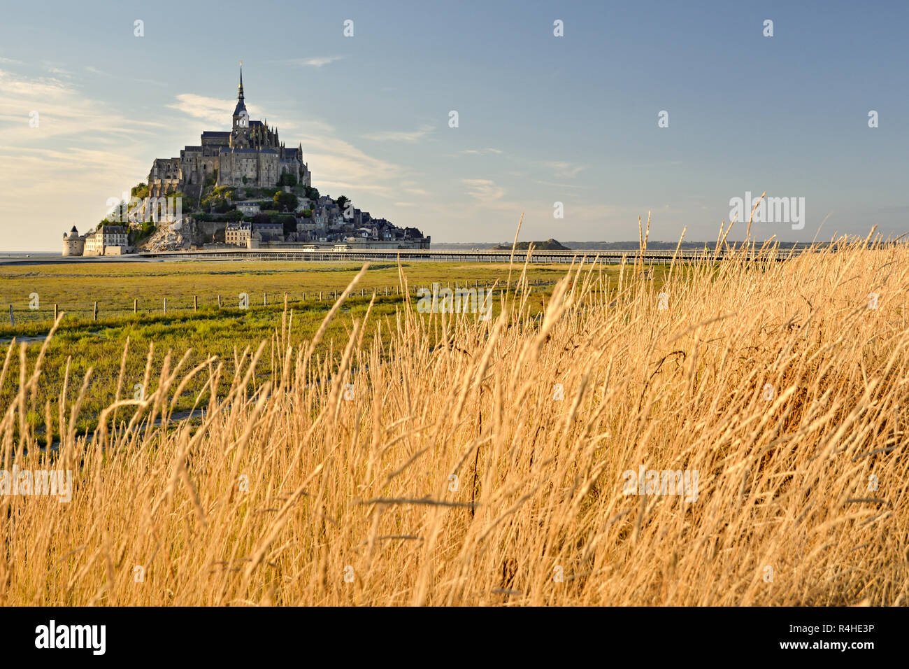 Campo nei pressi di Le Mont Saint Michel in Normandia, Francia Foto Stock