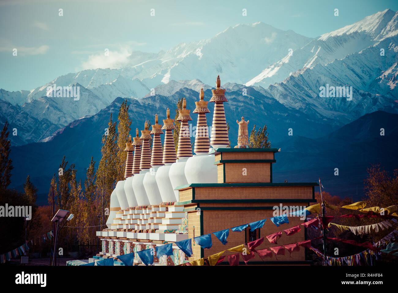 Ladakh in Himalaya indiano, Himachal Pradesh, India Foto Stock