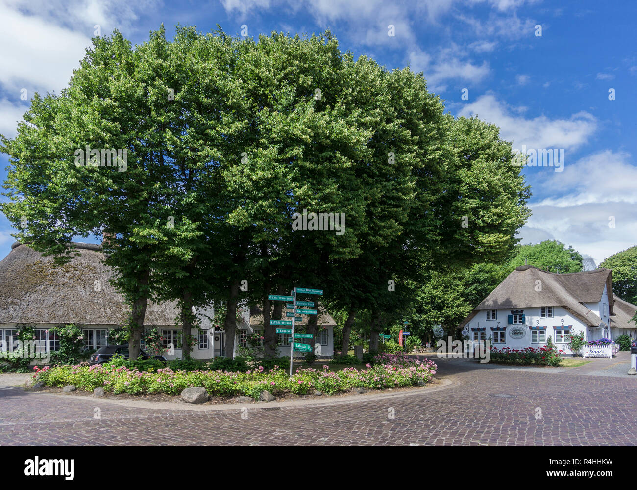 Nordfriesland, Avenue Kertelhein nel nucleo locale Nieblum su fa, Kertelheinallee im Ortskern Nieblum auf F Foto Stock