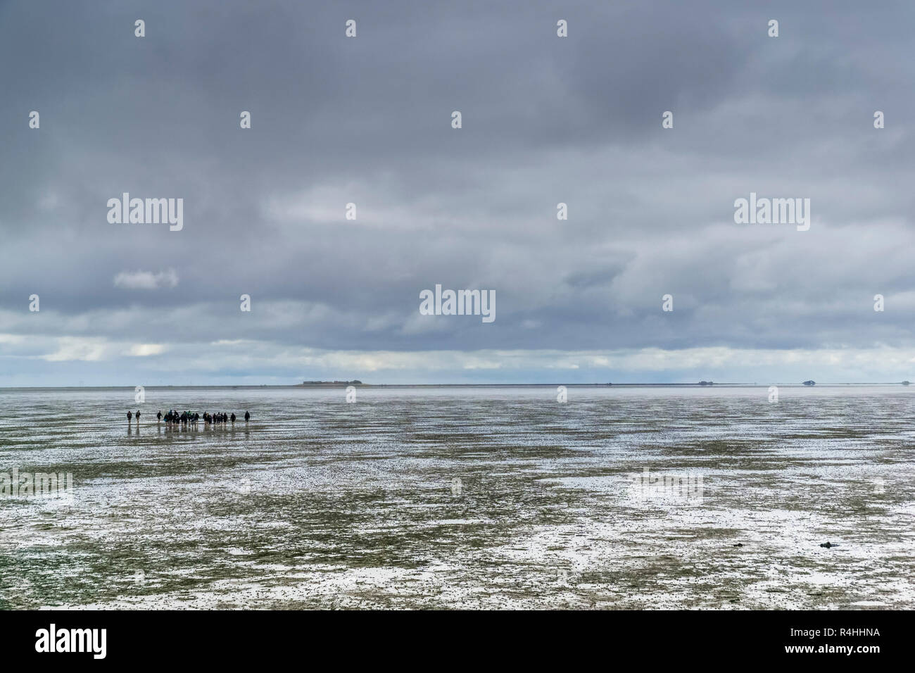 Nordfriesland, Watt girovagando per la Hallig Oland, Wattwanderung zur Hallig Oland Foto Stock