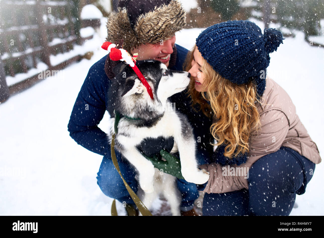 Ritratto di famiglia di carino coppia felice costeggiata con i loro alaskan malamute cane leccare il volto dell'uomo. Funny puppy indossando santa natale corna di cervo e baciare la donna. Libertà lifestyle gli amanti degli animali. Foto Stock