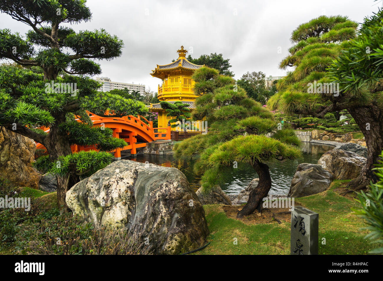 Tang-style Giardino Nan Lian con il Padiglione Dorato di perfezione assoluta, Chi Lin Monastero, Hong Kong, Diamond Hill Foto Stock