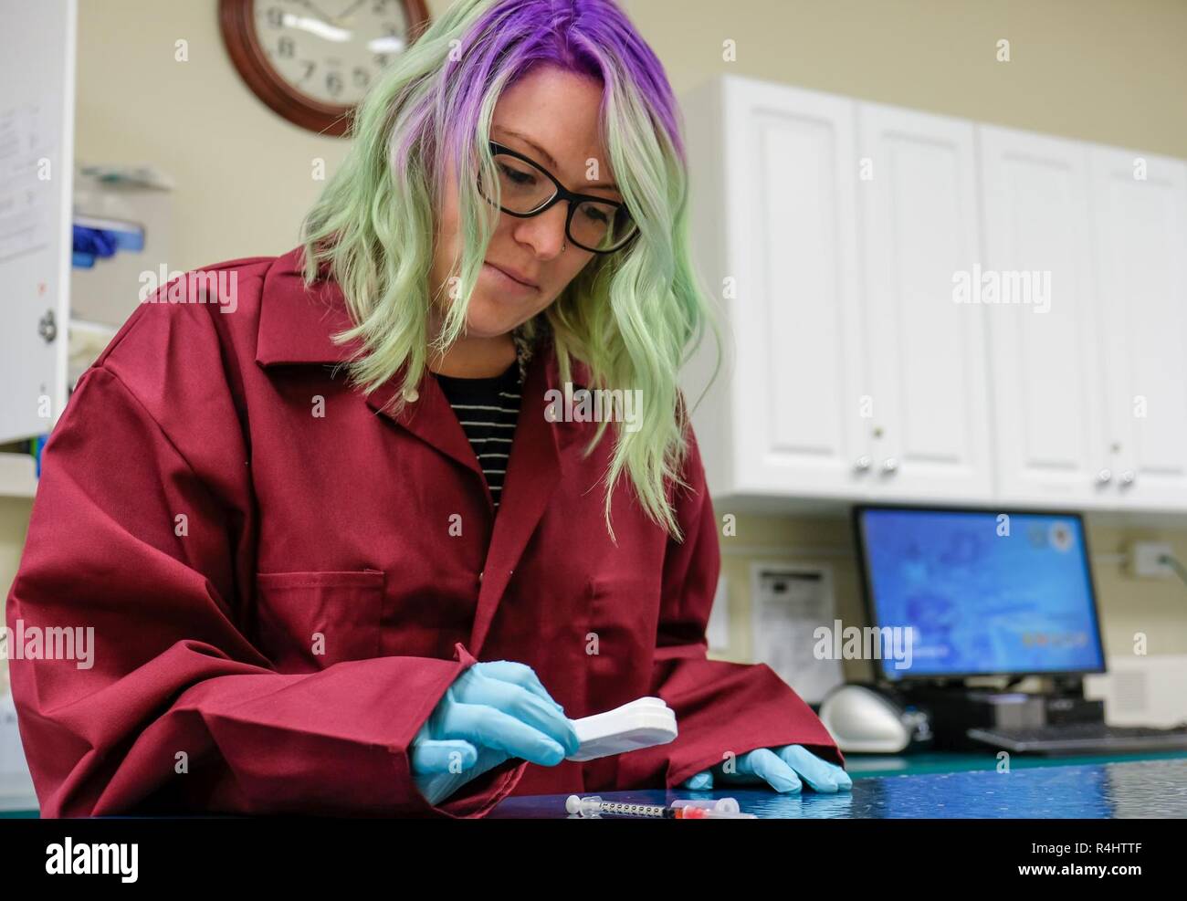 Kristine Sisson, an animal health technician at the Fort Bragg Veterinary Center, Fort Bragg, NC, conducts a routine heartworm test from an animal blood sample at Fort Bragg, N.C., Sep. 28, 2018. The after effects of Hurricane Florence created a thriving environment for mosquitoes which are the primary carriers of the heartworm disease. Foto Stock