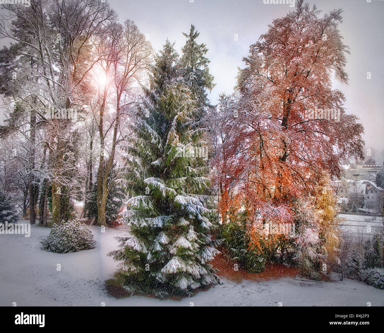 DE - Baviera: Prima neve dell'anno a Bad Tölz (HDR-immagine) Foto Stock