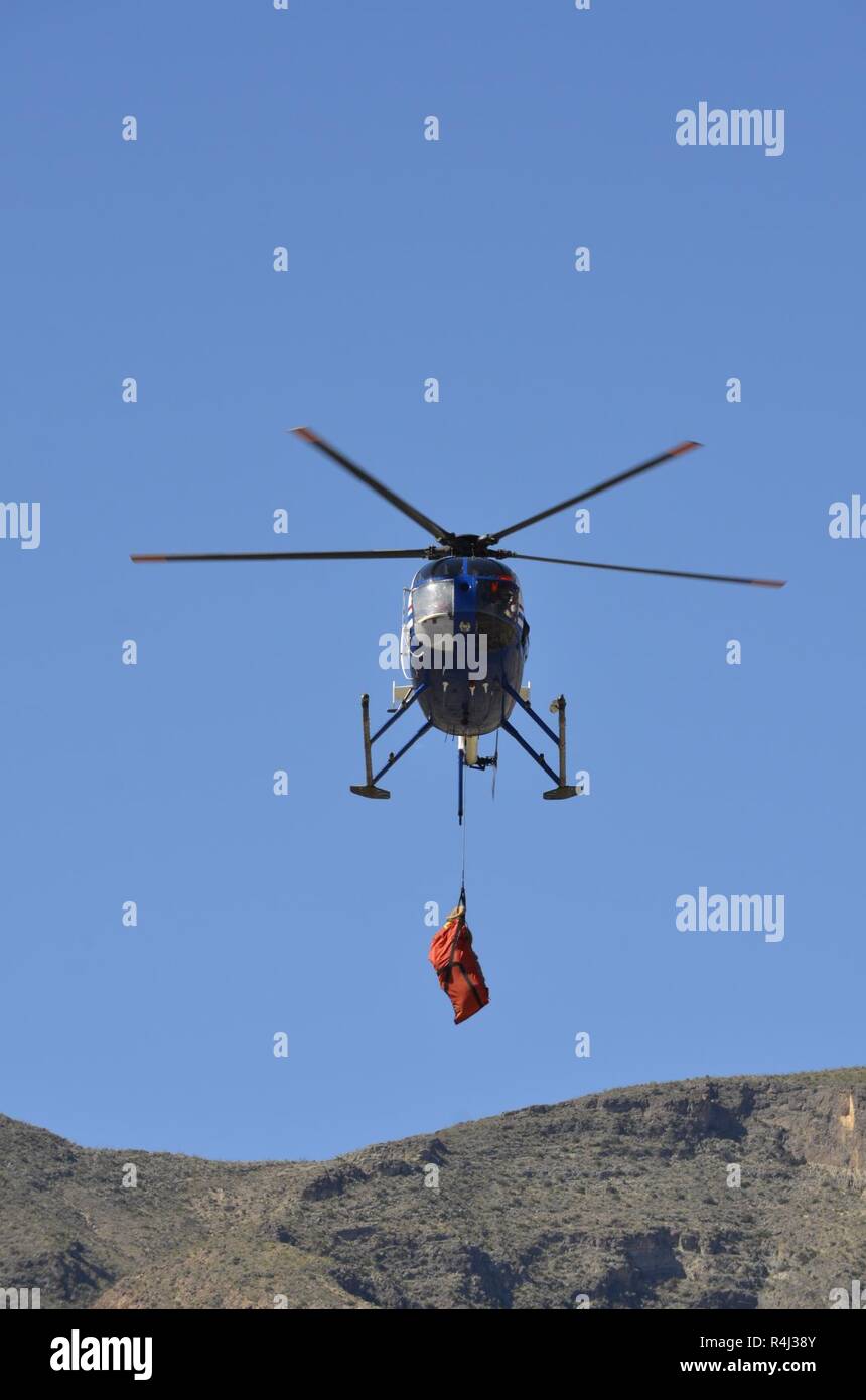 Un deserto bighorn è trasferito in aereo in per la lavorazione prima di essere portato a Alamogordo per il rilascio. Una squadra speciale di gioco elicottero dirigenti dovevano essere portati a cattura le pecore del WSMR aspre montagne. Foto Stock