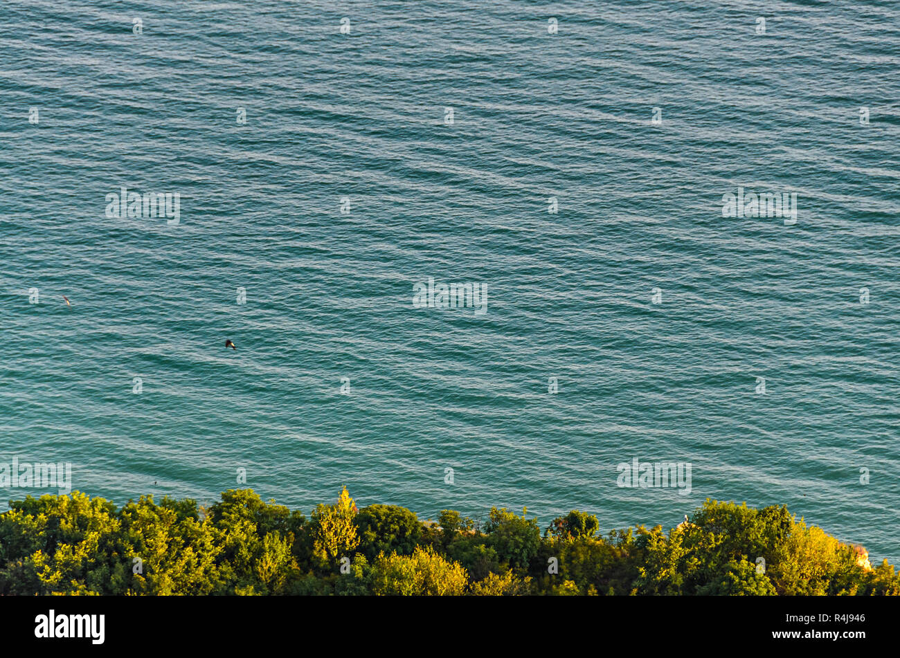 Green Thracian scogliere vicino blu chiare acque del Mar Nero, percorso roccioso sul mare. Foto Stock