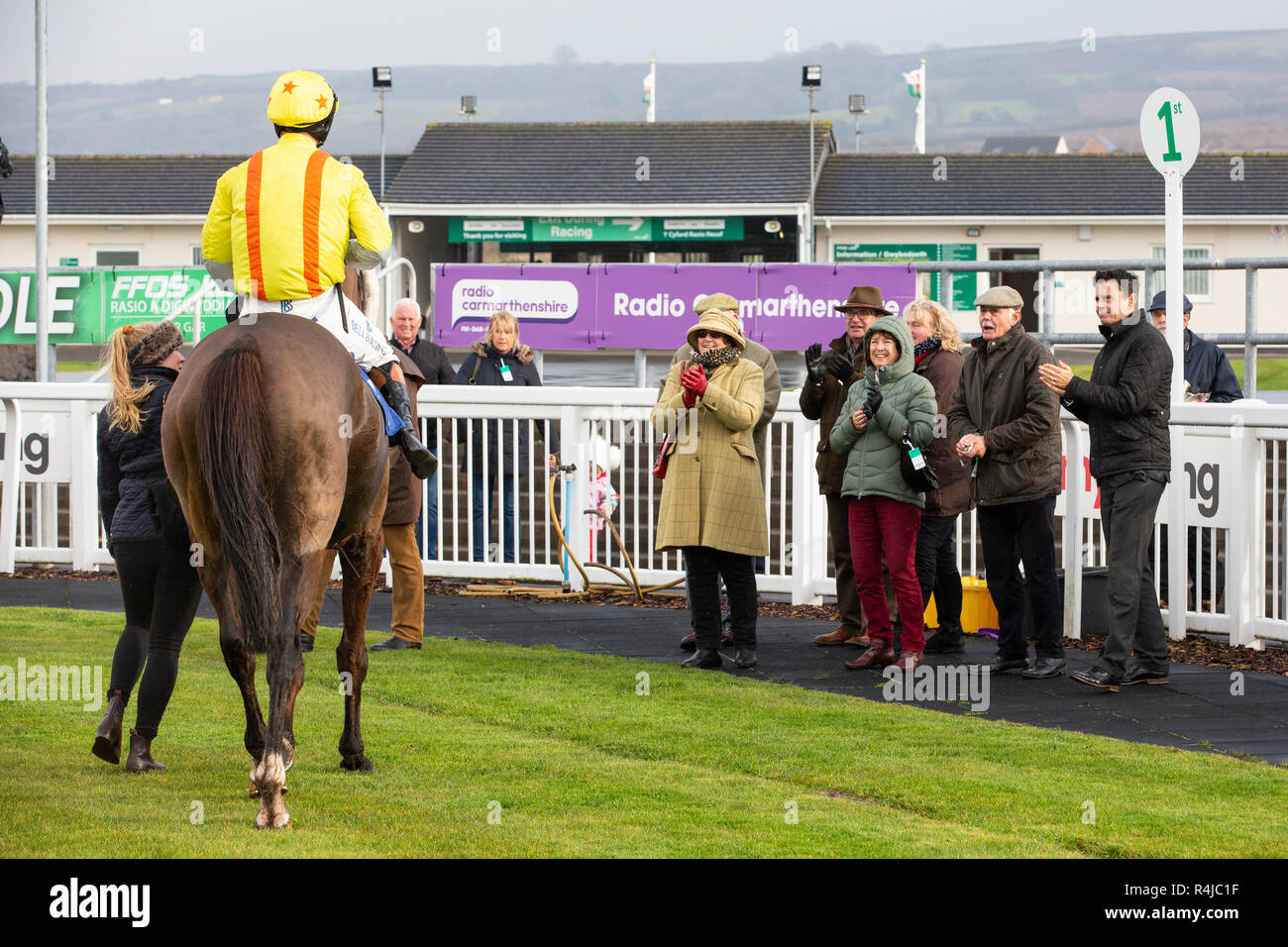 Ffos Las Racecourse, Trimsaran, Galles, Regno Unito. Venerdì 23 novembre 2018. Colmers Hill (jockey Matt Griffiths) è accolto nel recinto del vincitore. Foto Stock