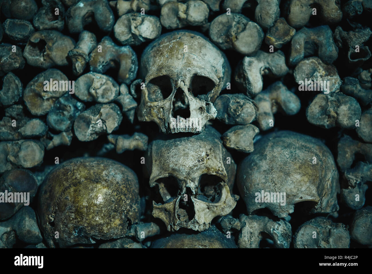 Teschi umani nella catacomba a Parigi, Francia Foto Stock