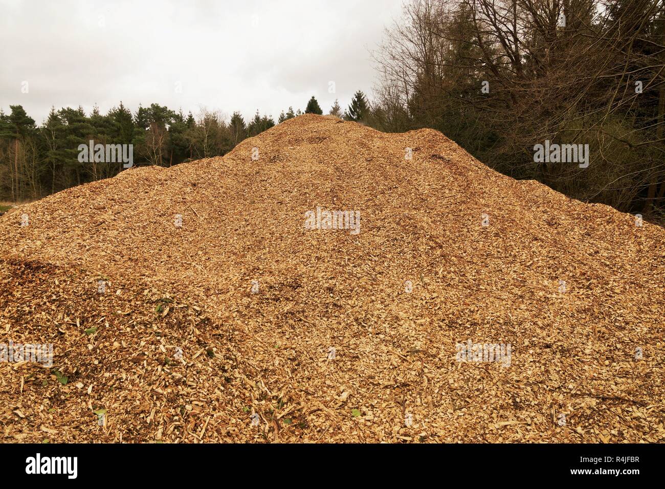 Grande pila di legno tritadocumenti Foto Stock