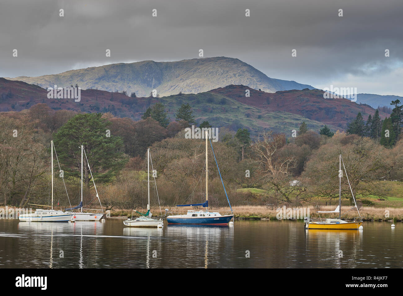 Barche a vela ormeggiate vicino alla riva settentrionale del lago di Windermere a Ambleside, Lake District, Cumbria, Inghilterra. Foto Stock