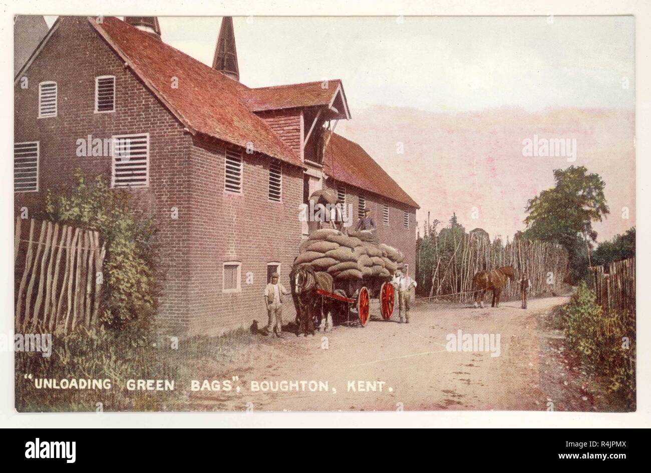 Oscurata Cartolina fotografica intitolata "scarico sacchi verde di luppolo " San Donato, Kent, Regno Unito circa.1905 1906. Foto Stock