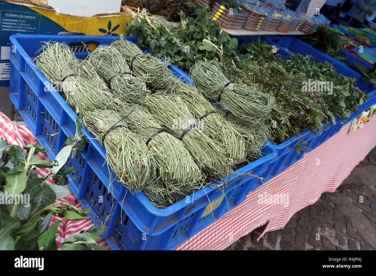 Le erbe fresche - mercato di domenica in Teror attorno alla basilica Foto Stock