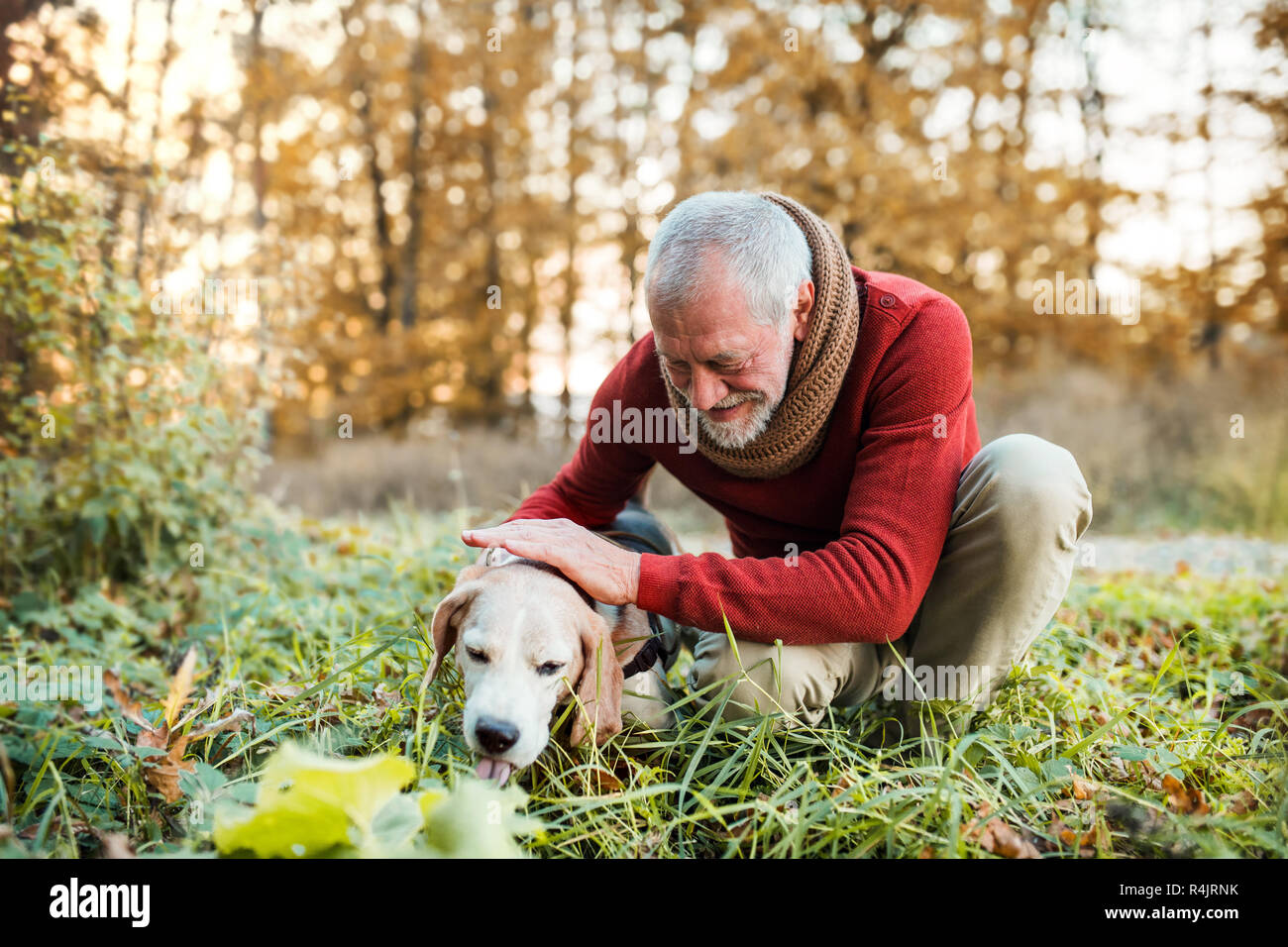 Un uomo anziano con un cane in un autunno natura al tramonto. Foto Stock