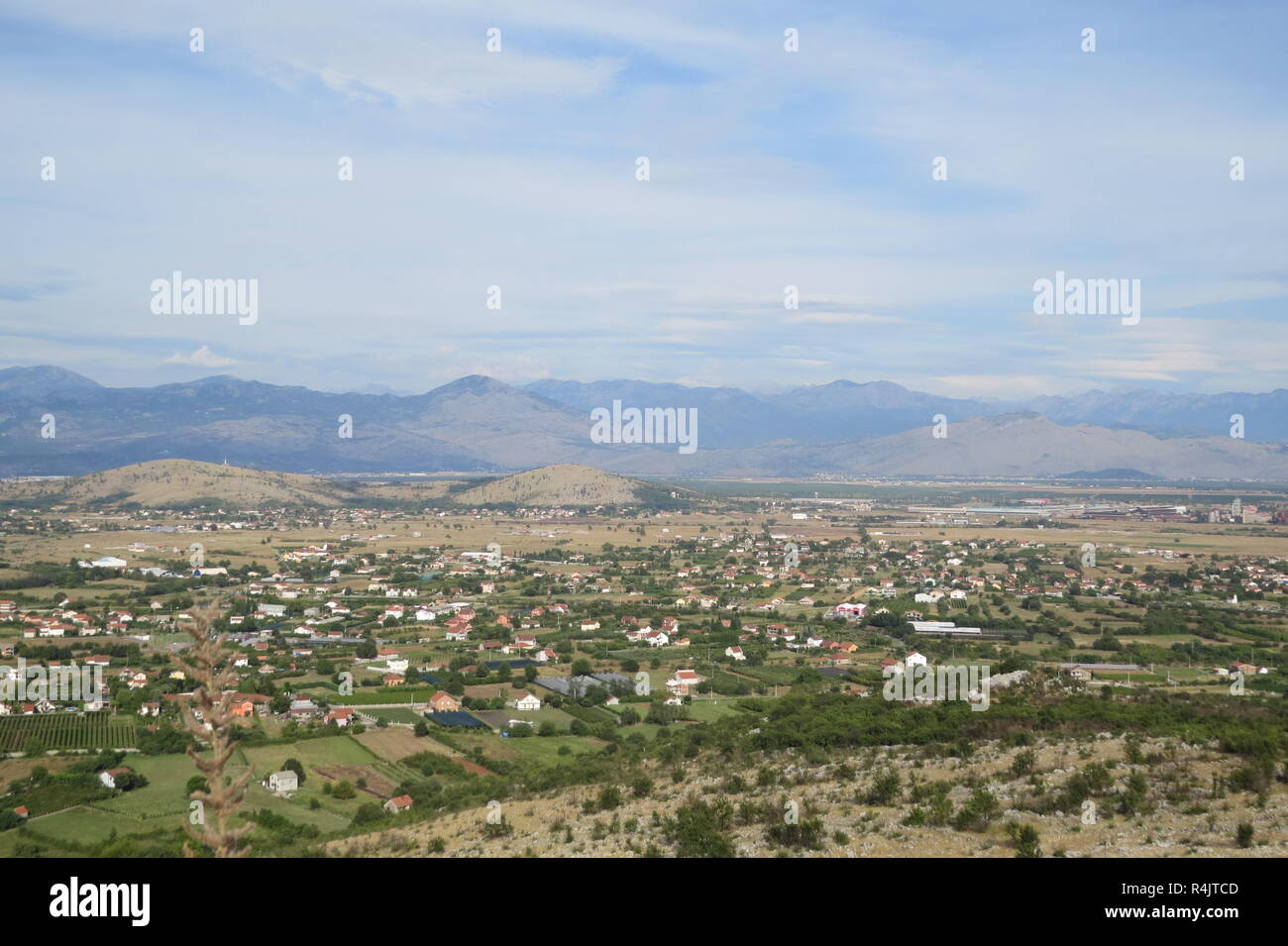 Campi estivi Foto Stock