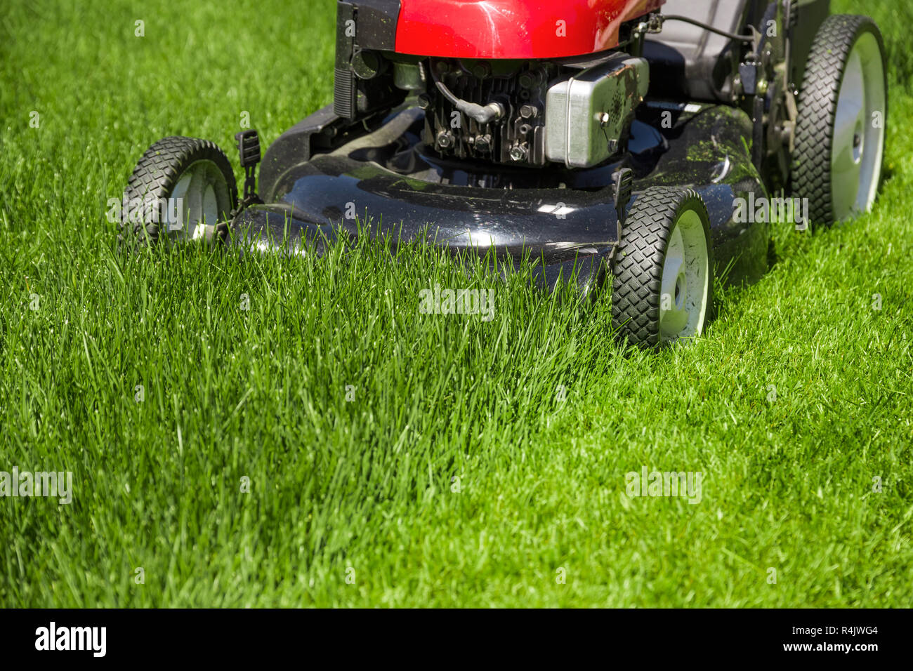 Tosaerba in il giardino di erba verde Foto Stock