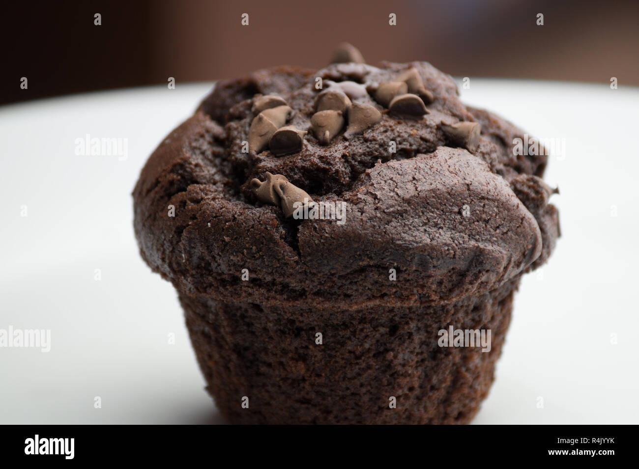 Close-up di un marrone cioccolato Cup cake con scaglie di cioccolato su una piastra bianca. Foto Stock