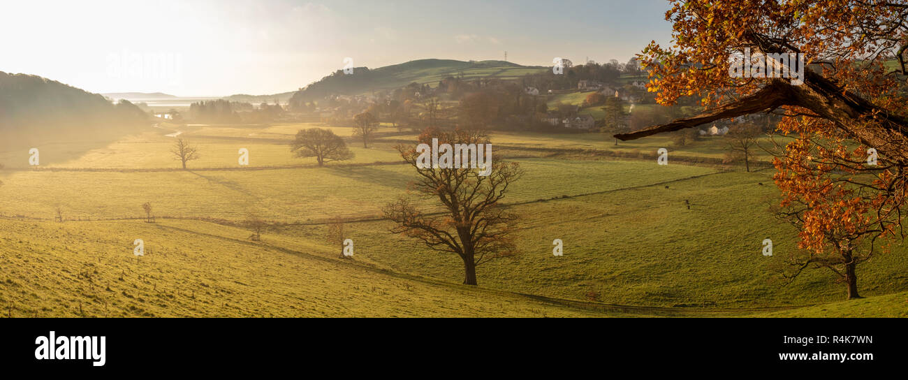 Autunno luce del sole di mattina nella bassa Valle Crake a Greenodd, Cumbria prelevati dal bordo di legno Flass. Fujifilm X-T3. Fujinon 18-55 f2.8-4.0 @ 27. Foto Stock