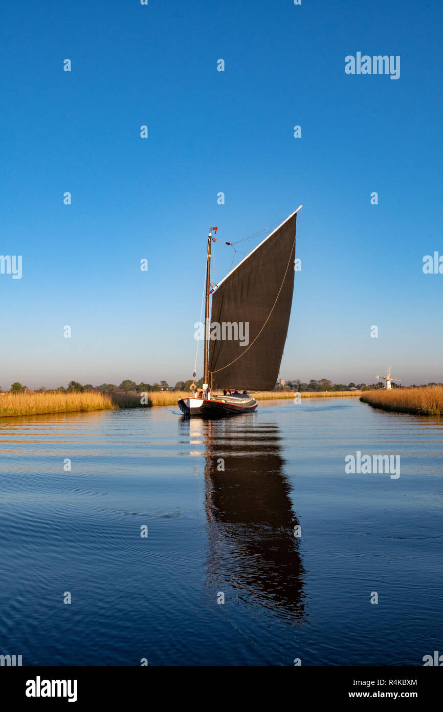 Un wherry su Norfolk Broads Foto Stock