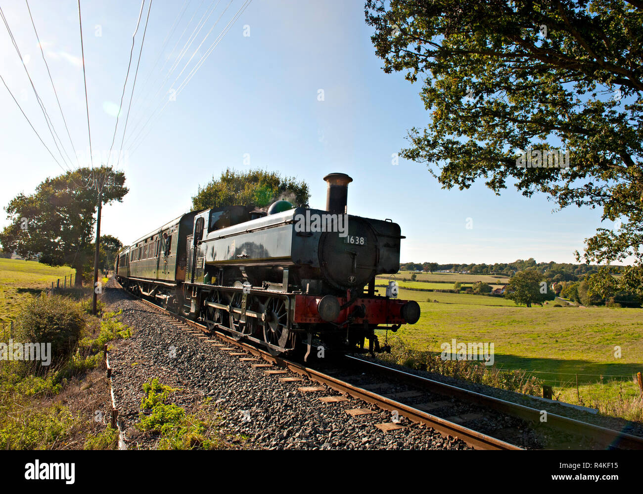 16xx classe 0-6-0 bauletto serbatoio loco traina un treno della pendenza di vapore tra Rolvenden e Tenterden sul Kent & East Sussex Railway, REGNO UNITO Foto Stock