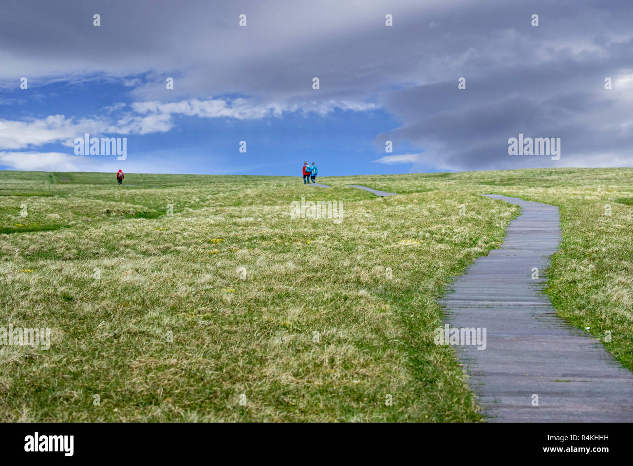 Gli amanti del birdwatching camminare sul lungomare nella brughiera, home all allevamento di grande stercorari a Hermaness Riserva Naturale Nazionale, Unst, isole Shetland, Scotland, Regno Unito Foto Stock
