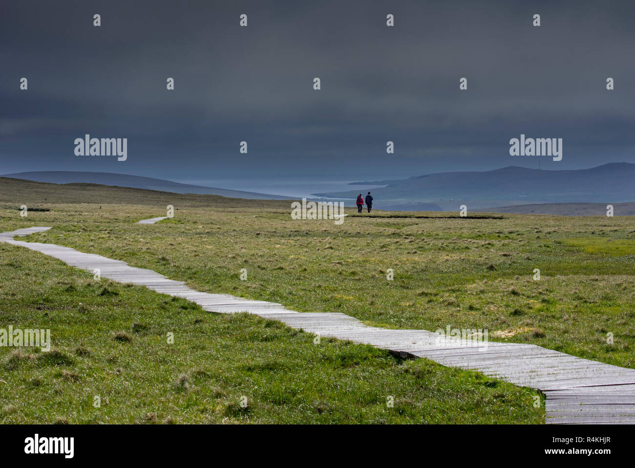 Gli amanti del birdwatching camminare sul lungomare nella brughiera, home all allevamento di grande stercorari a Hermaness Riserva Naturale Nazionale, Unst, isole Shetland, Scotland, Regno Unito Foto Stock