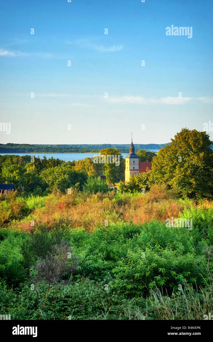 Il campanile della chiesa tra gli alberi nel piccolo villaggio di Benz di Usedom. Foto Stock