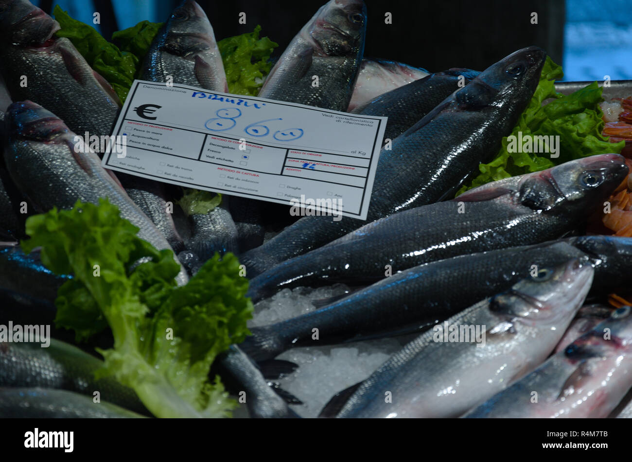 La vendita del pesce al mercato de realto Foto Stock