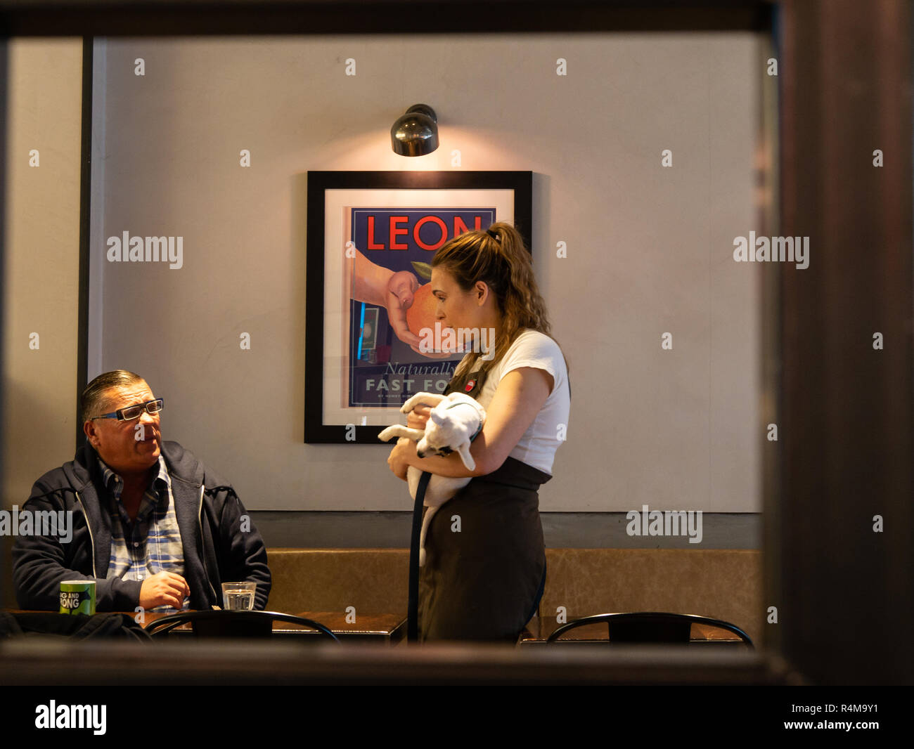 Il vecchio uomo in chat alla cameriera tenendo un piccolo cane, Leon ristorante, Brighton, West Sussex, Regno Unito Foto Stock